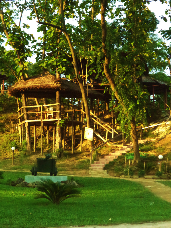 ভাটিয়ারী